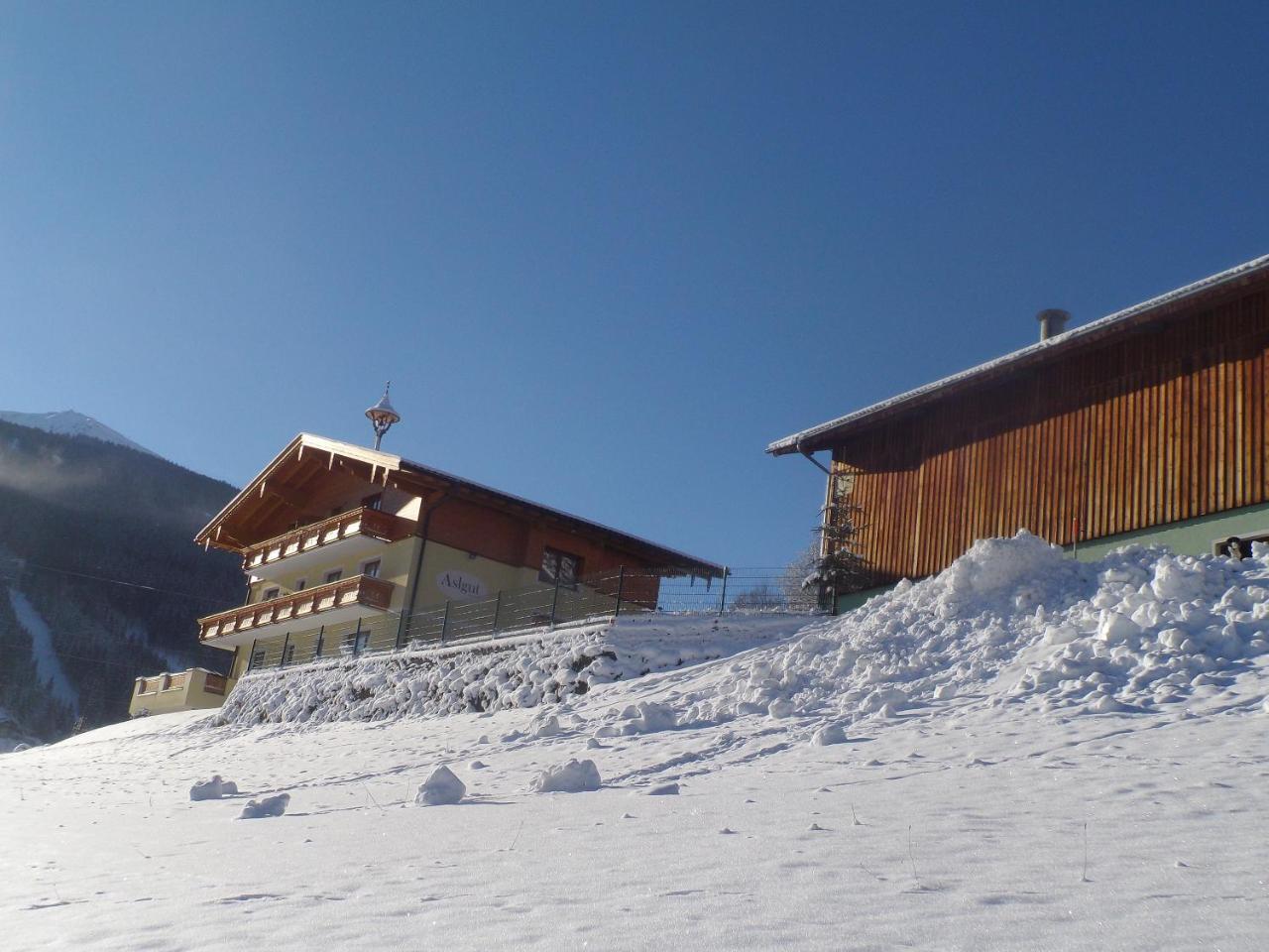 Biobauernhof Aslgut Villa Bad Hofgastein Exterior photo